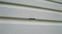 hail damage to siding