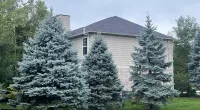 a house with trees in front of it