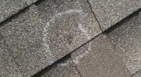 hail damage to shingles