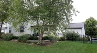 a tree in front of a house
