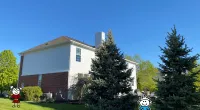 a tree in front of a house