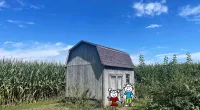 a house with trees in the background