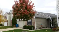 a tree in front of a customer's home