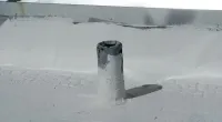 a polar bear in the snow