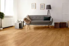 Thumbnail for Bright living room with wooden floor, gray sofa, floor lamp, potted plant, and minimalist decor.