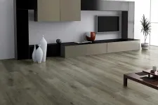 Thumbnail for Modern living room with minimalist black and beige entertainment unit, wooden floor, decorative vases, and a potted plant.
