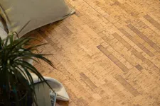 Thumbnail for Close-up of natural cork flooring with a green plant and beige cushion on a light fabric in the corner.