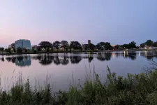 Thumbnail for Calm lake reflecting trees and city buildings under a clear twilight sky with foreground greenery.