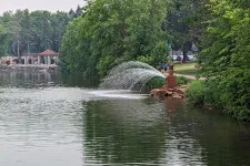 Thumbnail for Fountain spraying water into a calm lake surrounded by lush green trees and a walking path beside it.