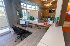 Thumbnail for Modern dental office reception with computers, flowers, plants, and natural light from large windows