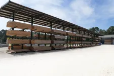 Thumbnail for Outdoor lumber storage racks filled with wooden planks under a metal roof on a sunny day.