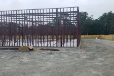 Thumbnail for Steel framework of a building under construction on a cleared dirt site with a wooden fence and trees in the background.
