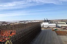 Thumbnail for Large industrial storage rack construction at a manufacturing facility under clear blue skies.