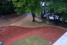 Thumbnail for Curved red dirt pathway surrounded by grass and trees with parked cars in the background in an outdoor area.