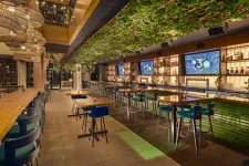 Thumbnail for Modern bar interior with green ceiling plants, wooden tables, blue chairs, and illuminated shelves with bottles.