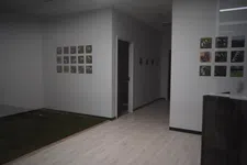 Thumbnail for Modern indoor golf practice area with artificial turf, light wood flooring, and visual guides on white walls.