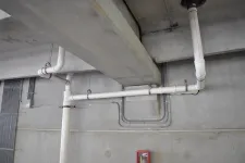 Thumbnail for White plumbing pipes and electrical conduits attached to a gray concrete ceiling and wall in an industrial setting.