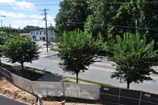 Thumbnail for Street view with three leafy trees along road, construction fencing in foreground, and buildings under clear blue sky.