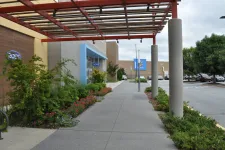 Thumbnail for Outdoor shopping center walkway with Ross and Walmart stores, greenery, and covered pergola on a cloudy day.
