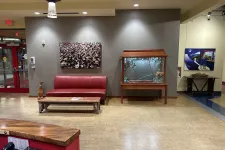 Thumbnail for Modern waiting area with red leather couch, wooden table, glass display case, and artwork on neutral walls.