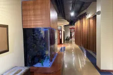 Thumbnail for Modern hallway with wooden paneling and a large built-in aquarium filled with coral and fish.