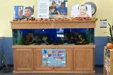 Thumbnail for Large aquarium with decorative plants in a school lobby featuring welcome signs and children's photos above it.
