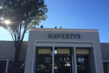 Thumbnail for Havertys furniture store exterior with clear blue sky and large tree on the left side.