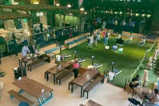 Thumbnail for Indoor recreational space with people playing cornhole, sitting at wooden tables, and green turf floors under plants.