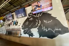 Thumbnail for Interior of brewery with large black bison mural, multiple beer taps, TV screens, and merchandise on display.