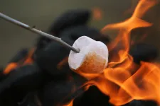 Thumbnail for a mushroom on fire