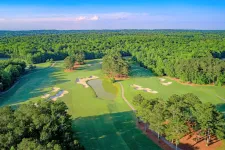 Thumbnail for a golf course surrounded by trees