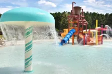 Thumbnail for a water slide in a water park