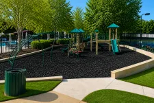 Thumbnail for Outdoor playground with slides, climbing structures, green trees, and a black safety surface under bright sunlight.