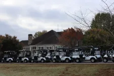 Thumbnail for a row of golf carts parked in front of a house