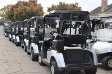 Thumbnail for a row of golf carts