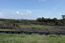 Thumbnail for Cleared land with tree debris, grass, and temporary fencing under a partly cloudy blue sky.
