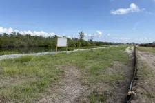 Thumbnail for Grassy landscape with a small water channel, a blank sign, and a dirt path under blue sky with clouds