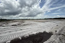 Thumbnail for Cleared and leveled land under a cloudy sky with visible tire tracks on the dirt surface.