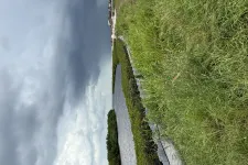 Thumbnail for Narrow waterway bordered by green grass and plants under a cloudy sky with distant buildings.