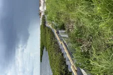 Thumbnail for Waterway bordered by vegetation and grass under a cloudy sky with a wooden structure along the shore.