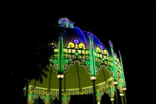 Thumbnail for Illuminated gazebo decorated with vibrant green, yellow, and purple lights glowing brightly at night.