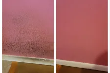Thumbnail for Side-by-side comparison of a pink wall showing mold and dirt buildup on the left and a clean pink wall on the right.