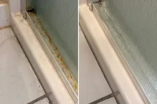 Thumbnail for Side-by-side comparison of a shower door track before and after cleaning, showing removal of hair and grime.