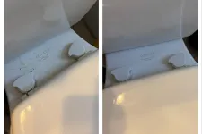 Thumbnail for Side-by-side images of a Kohler toilet hinge area before and after cleaning, showing dirt removal and shine.