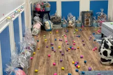 Thumbnail for Easter eggs on the floor at MaidPro Derry 
