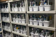 Thumbnail for wall of green cleaning supplies used by MaidPro Tyngsborough