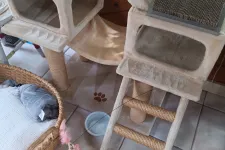 Thumbnail for Beige cat tree with ladder, scratching pads, hanging toy, and cozy basket near a window on tiled floor.