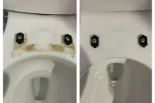 Thumbnail for Side-by-side comparison of a toilet with dirty and clean areas around bolt mounts showing cleaning effect.