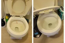 Thumbnail for Side-by-side comparison of a dirty toilet bowl and the same toilet thoroughly cleaned and spotless.