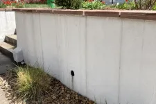 Thumbnail for a white wall with a planter